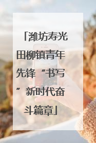 潍坊寿光田柳镇青年先锋“书写”新时代奋斗篇章