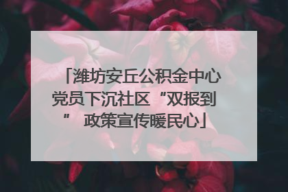 潍坊安丘公积金中心党员下沉社区“双报到” 政策宣传暖民心