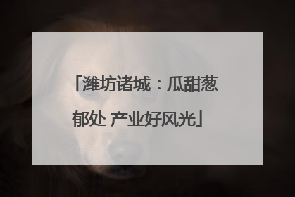 潍坊诸城：瓜甜葱郁处 产业好风光