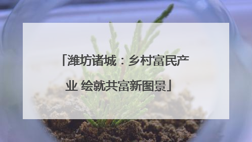 潍坊诸城：乡村富民产业 绘就共富新图景
