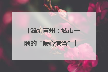 潍坊青州：城市一隅的“暖心港湾”