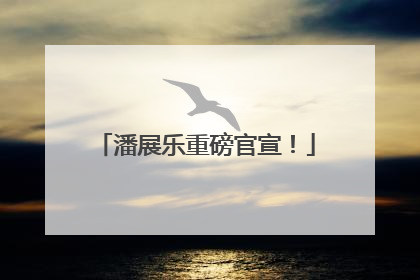 潘展乐重磅官宣！