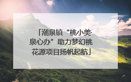 潮泉镇“桃小美·泉心办”助力梦幻桃花源项目扬帆起航