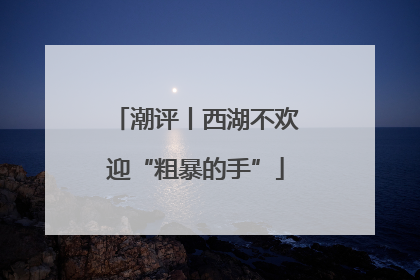 潮评丨西湖不欢迎“粗暴的手”