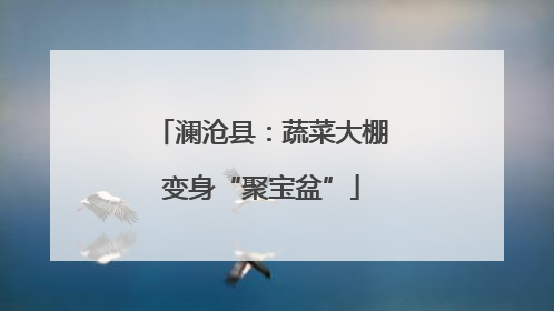 澜沧县：蔬菜大棚变身“聚宝盆”