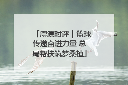 澧源时评｜篮球传递奋进力量 总局帮扶筑梦桑植