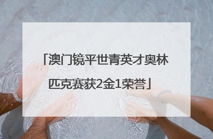 澳门镜平世青英才奥林匹克赛获2金1荣誉