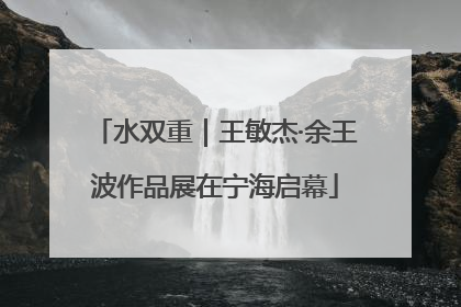 水双重｜王敏杰·余王波作品展在宁海启幕