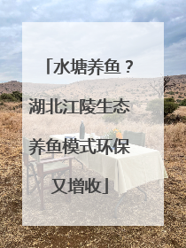 水塘养鱼？湖北江陵生态养鱼模式环保又增收