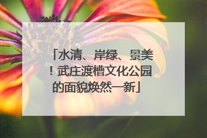 水清、岸绿、景美！武庄渡槽文化公园的面貌焕然一新
