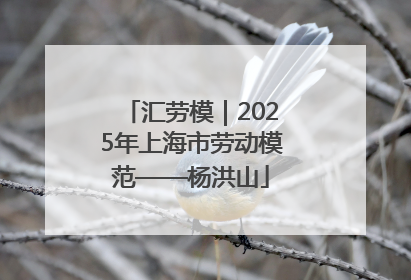 汇劳模｜2025年上海市劳动模范——杨洪山