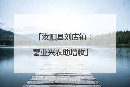 汝阳县刘店镇：薯业兴农助增收