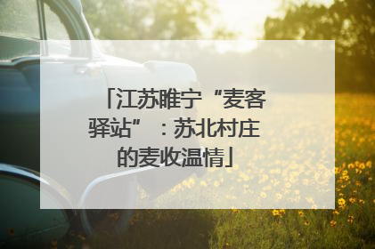 江苏睢宁“麦客驿站”：苏北村庄的麦收温情