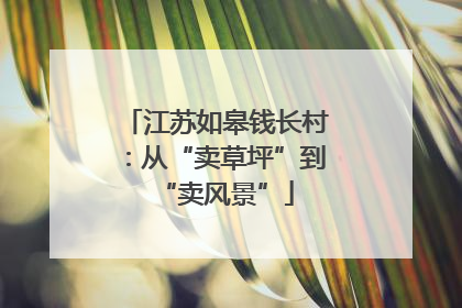江苏如皋钱长村：从“卖草坪”到“卖风景”