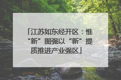 江苏如东经开区：惟“新”图强以“新”提质推进产业强区