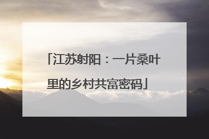 江苏射阳：一片桑叶里的乡村共富密码