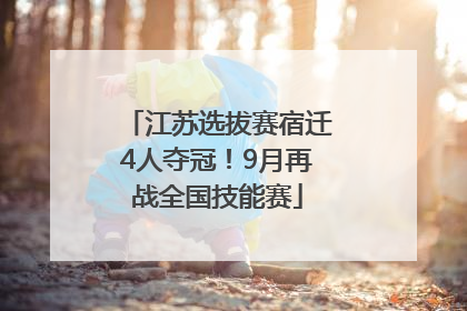 江苏选拔赛宿迁4人夺冠！9月再战全国技能赛