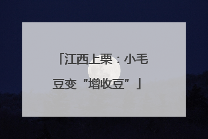 江西上栗：小毛豆变“增收豆”