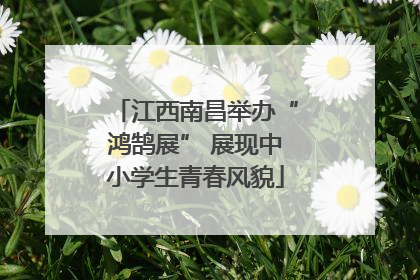 江西南昌举办“鸿鹄展” 展现中小学生青春风貌