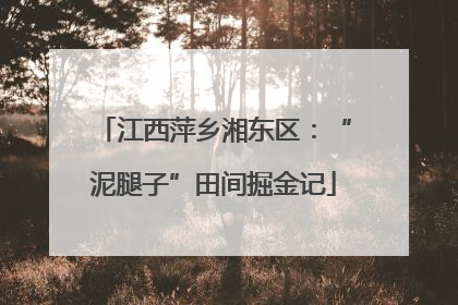 江西萍乡湘东区：“泥腿子”田间掘金记