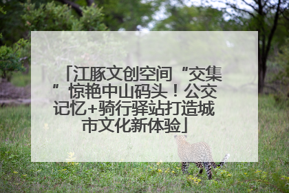 江豚文创空间“交集”惊艳中山码头！公交记忆+骑行驿站打造城市文化新体验
