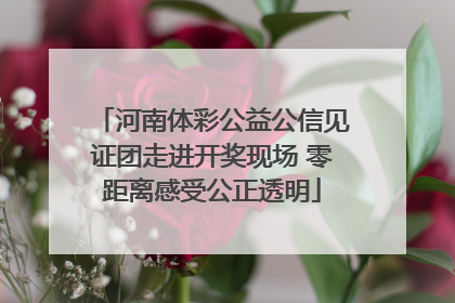 河南体彩公益公信见证团走进开奖现场 零距离感受公正透明