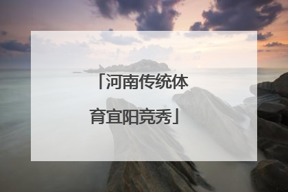 河南传统体育宜阳竞秀