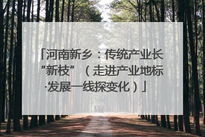 河南新乡：传统产业长“新枝”（走进产业地标·发展一线探变化）