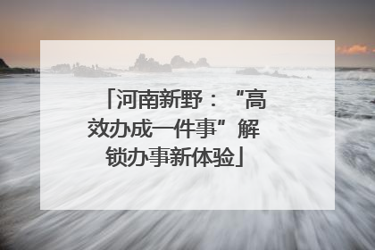 河南新野：“高效办成一件事”解锁办事新体验