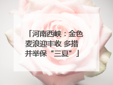 河南西峡：金色麦浪迎丰收 多措并举保“三夏”