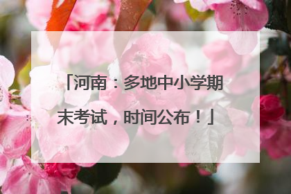 河南：多地中小学期末考试，时间公布！