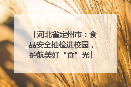 河北省定州市：食品安全抽检进校园，护航美好“食”光