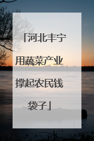 河北丰宁用蔬菜产业撑起农民钱袋子