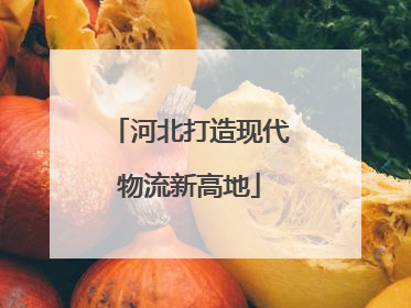河北打造现代物流新高地
