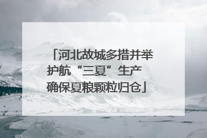 河北故城多措并举护航“三夏”生产 确保夏粮颗粒归仓