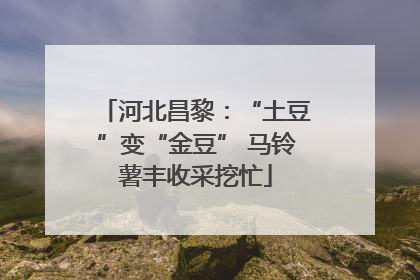 河北昌黎：“土豆”变“金豆” 马铃薯丰收采挖忙