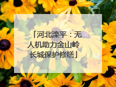 河北滦平：无人机助力金山岭长城保护修缮