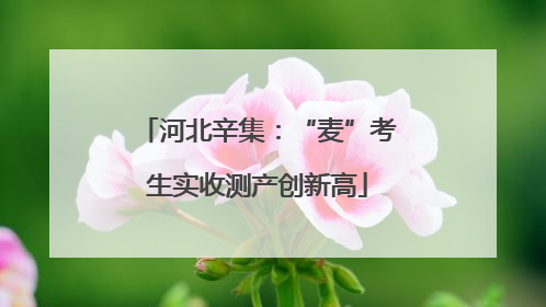 河北辛集：“麦”考生实收测产创新高