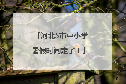 河北5市中小学暑假时间定了！