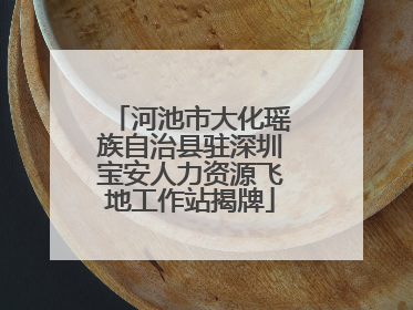 河池市大化瑶族自治县驻深圳宝安人力资源飞地工作站揭牌