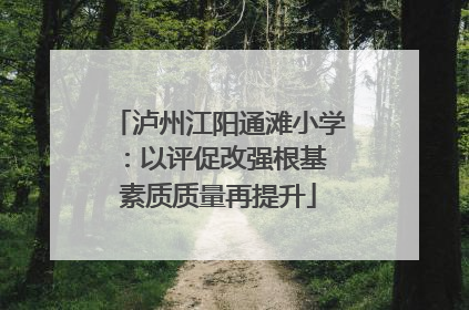 泸州江阳通滩小学：以评促改强根基 素质质量再提升