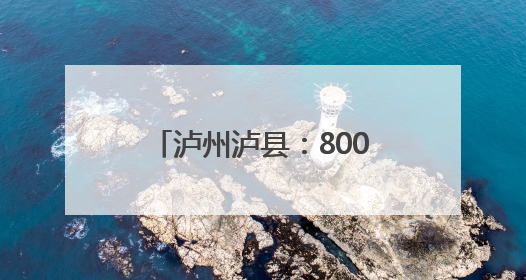 泸州泸县：8000只鸡苗免费送 乡贤助力农户增收
