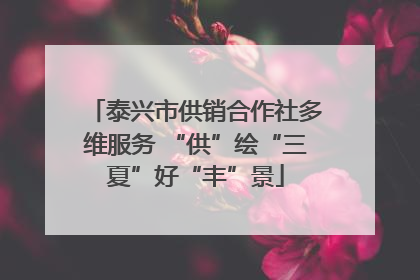 泰兴市供销合作社多维服务 “供”绘“三夏”好“丰”景