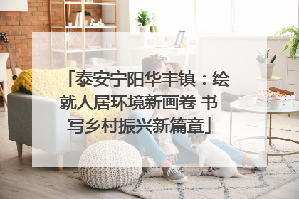 泰安宁阳华丰镇：绘就人居环境新画卷 书写乡村振兴新篇章