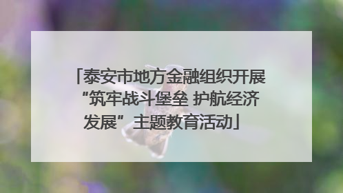 泰安市地方金融组织开展“筑牢战斗堡垒 护航经济发展”主题教育活动