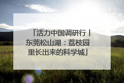 活力中国调研行丨东莞松山湖：荔枝园里长出来的科学城