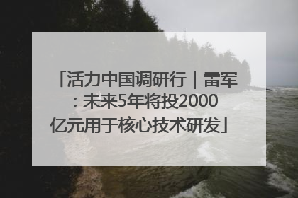 活力中国调研行｜雷军：未来5年将投2000亿元用于核心技术研发