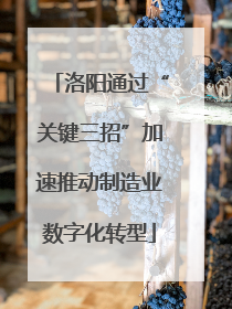 洛阳通过“关键三招”加速推动制造业数字化转型