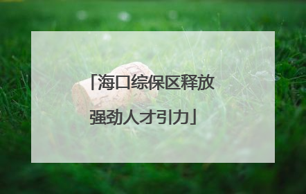 海口综保区释放强劲人才引力
