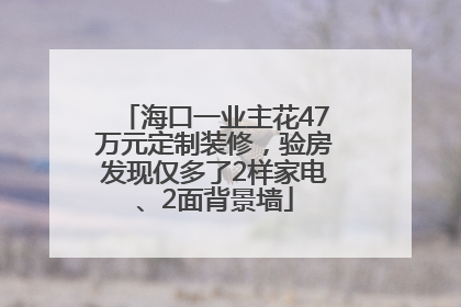 海口一业主花47万元定制装修，验房发现仅多了2样家电、2面背景墙